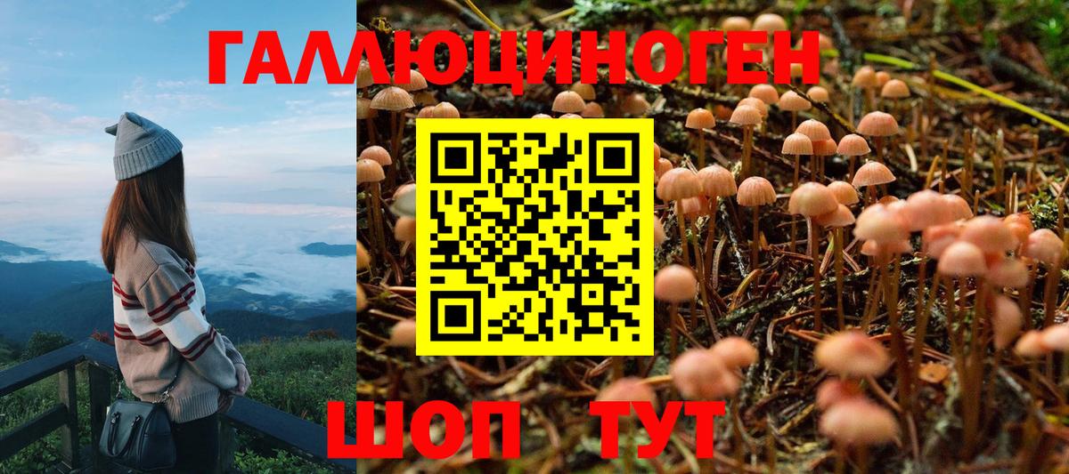 цена наркотик  Галлюциногенные грибы GOLDEN TEACHER  Вход с VPN  Россошь 